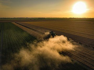 Combine oogst tarwe tijdens zomerse zonsondergang