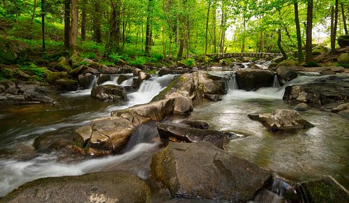 Rivier in de Vogezen