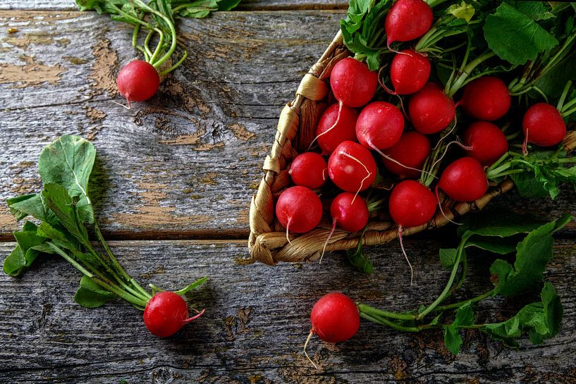 Radish by Jürgen Wiesler