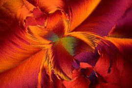 Sorbinezuur von André Wieringa