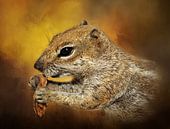 Portrait d'un écureuil doux par Diana van Tankeren Aperçu