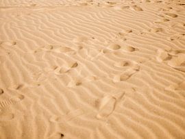 Fußspuren in der marokkanischen Wüste von Raisa Zwart Reisefotografiedrucke