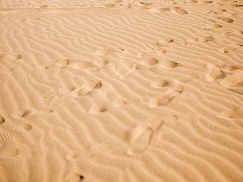 Footsteps in Morocco's Desert by Raisa Zwart Travel Photography Prints