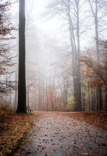 Park Sonsbeek part 7