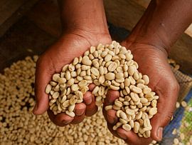 Coffee love by Remco van Kampen