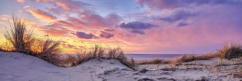 Abend in den Dünen