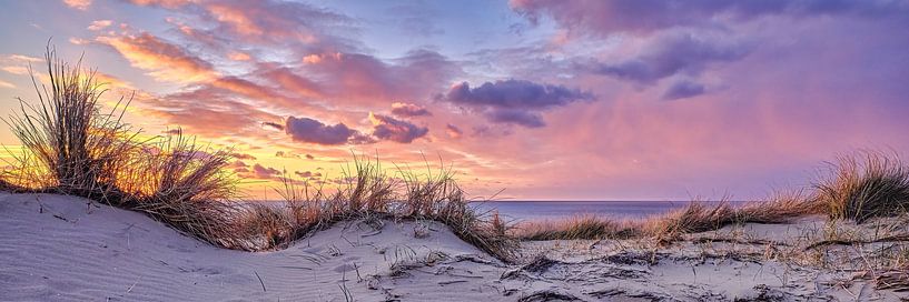 evening in the dunes by eric van der eijk