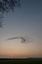 Figure dancing starlings by Moetwil en van Dijk - Fotografie thumbnail