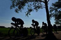 Wielrennen ploegentijdrit Silhouetten in tegenlicht.