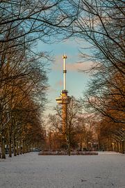 Der Euromast - Winter 8 von Nuance Beeld