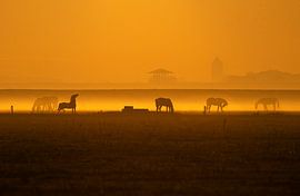 Horses in the morning mist by Ruurd Jelle Van der leij