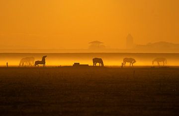 Paarden in de ochtendmist van Ruurd Jelle Van der leij