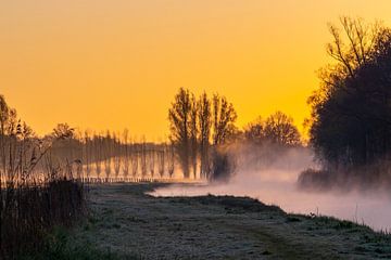 Een mistige ochtend in de winter. van Els Oomis