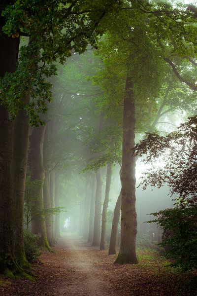 Boombergpark, Hilversum von Pascal Raymond Dorland