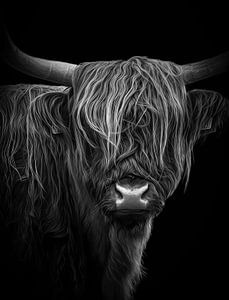 Schotse Hooglander digital art, in zwart-wit