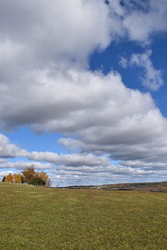 Een veld in de lente onder een bewolkte hemel
