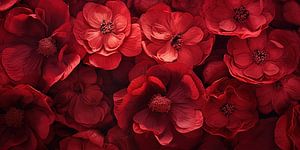 Coquelicots rouges