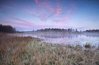 Frosty sunrise van Olha Rohulya thumbnail