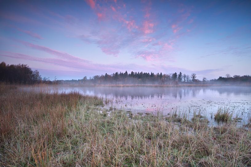 Frosty sunrise van Olha Rohulya