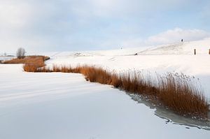 Frozen morning  van Pim Feijen