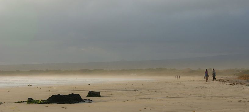Strand met dreigende lucht van Jos van Ooij