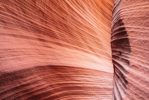 Roches rouges aux formes organiques dans le Lower Antelope Canyon sur Myrthe Slootjes