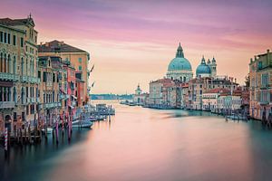 Venedig in Rosa