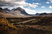 Scottish Highlands