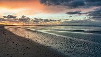 Kleur aan zee
