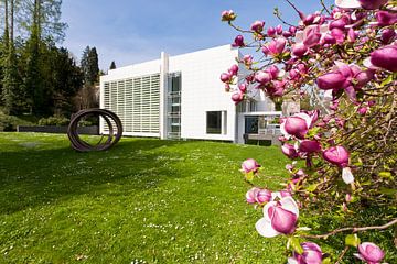 Musée Frieder Burda à Baden-Baden sur Werner Dieterich