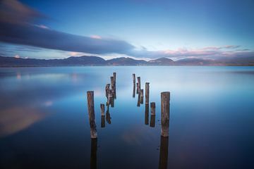 Palen in het meer, resten van een pier. Meer van Massaciuccoli van Stefano Orazzini