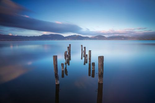 Palen in het meer, resten van een pier. Meer van Massaciuccoli