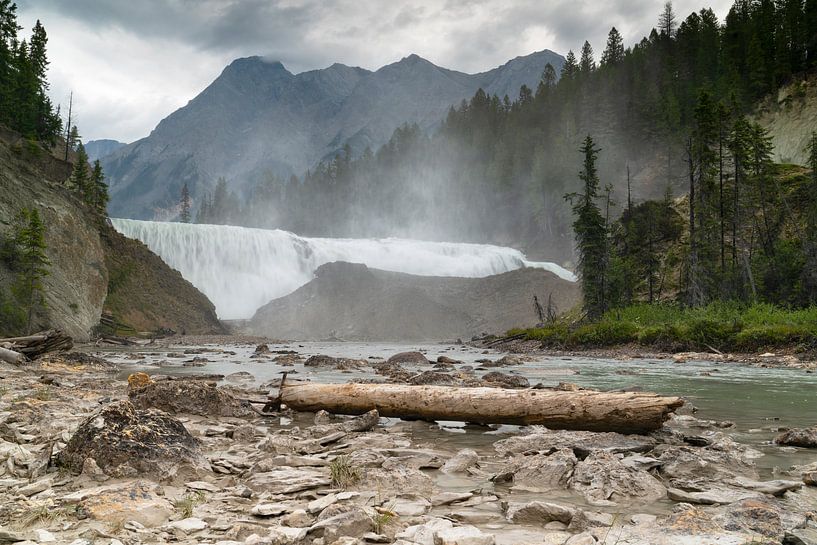 Wapta Falls of the Kicking Horse River, Yoho National Park, British Columbia, Canada. van Alexander Ludwig