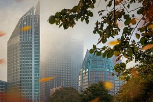 Immeubles de bureaux dans le centre de La Haye