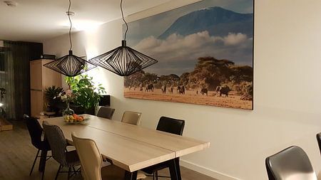 Afrikanische Elefanten am Kilimanjaro