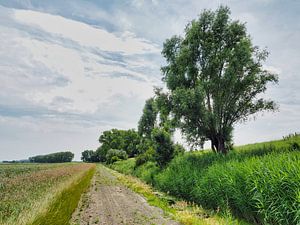 Polderkorridor mit Tiefe
