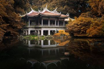 Japanse Tuin van Tim Kreike