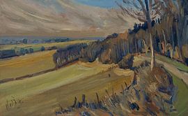 Entlang des Waldrandes