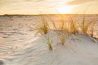 Duinen in het gouden avondlicht