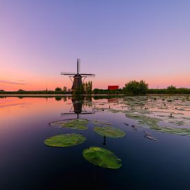 Ouderwetse molen van Björn van den Berg