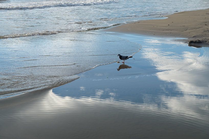 Reflet du ciel sur la plage de sable 1 par Adriana Mueller