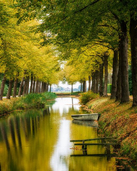 Autumn, Forest by Edwin Kooren