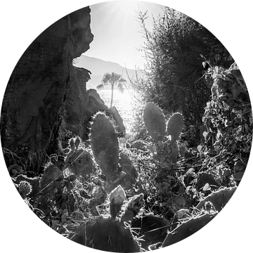 Costa del Sol natuurlandschap in zwart-wit