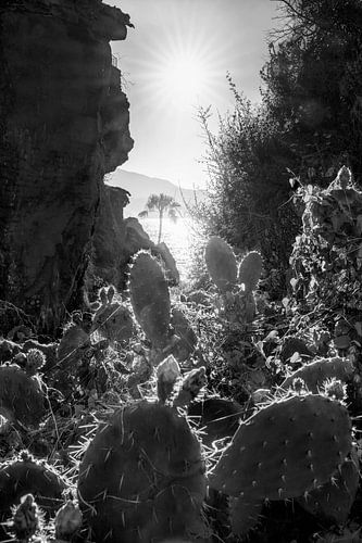 Costa del Sol natuurlandschap in zwart-wit