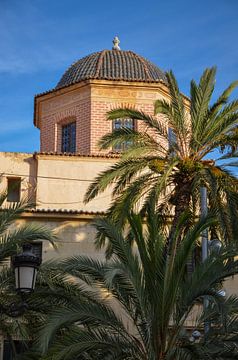 Die Kuppel der Basilika der Heiligen Maria von Alicante hinter grünen Palmen unter einem klaren blau von LuCreator