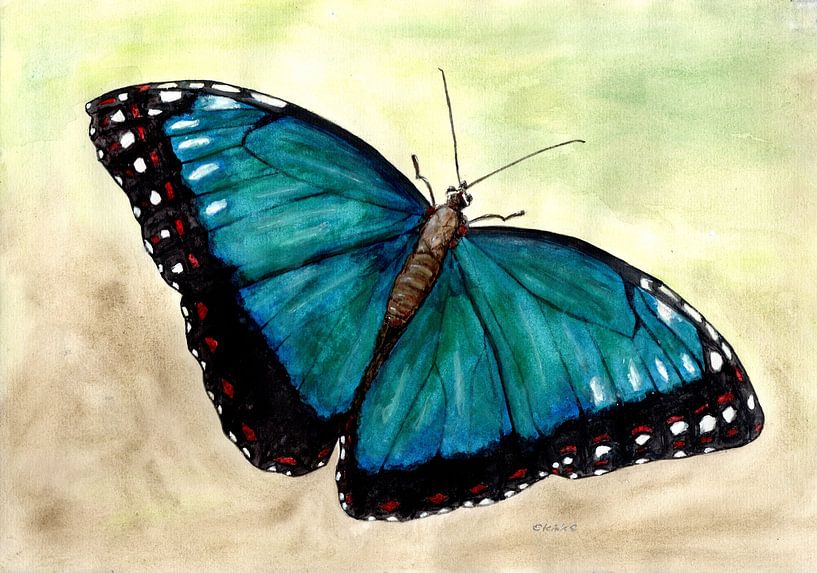 Papillon par Sandra Steinke