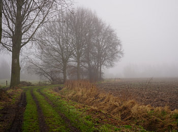 Straße im Nebel