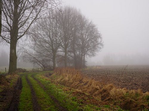 route dans le brouillard