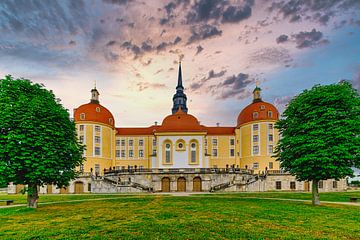 Uitzicht op kasteel Moritzburg van Andreas Völkel