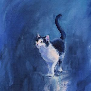 Glückliche Tuxedo Katze quadratisch